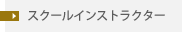スクールインストラクター